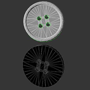 Four-hole button poor topology shown from the front and back
